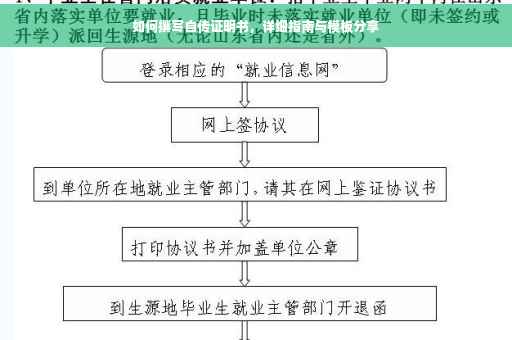如何撰写自传证明书，详细指南与模板分享