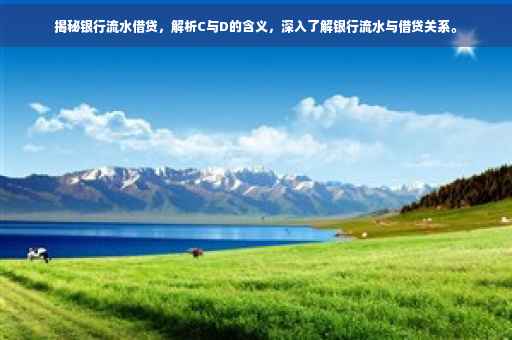 揭秘银行流水借贷，解析C与D的含义，深入了解银行流水与借贷关系。