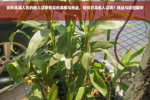 劳务派遣人员的收入证明背后的真相与挑战，如何开具收入证明？挑战与透视解析。