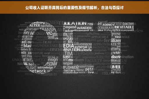 公司收入证明开具背后的重要性及细节解析，合法与否探讨