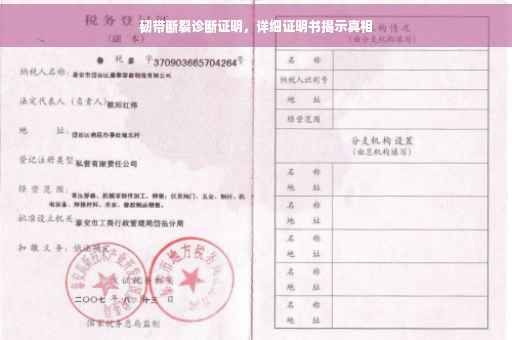 韧带断裂诊断证明，详细证明书揭示真相