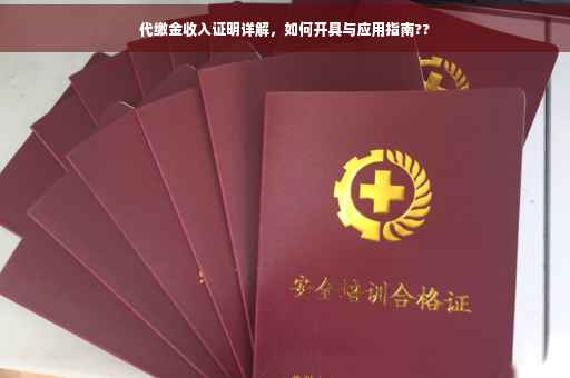代缴金收入证明详解，如何开具与应用指南??