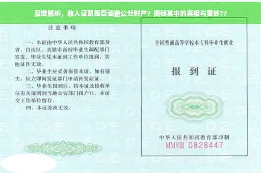 深度解析，收入证明是否涵盖公分财产？揭秘其中的真相与奥妙??