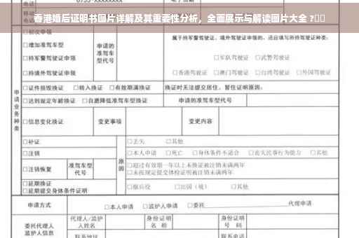 香港婚后证明书图片详解及其重要性分析，全面展示与解读图片大全 ?⚡️