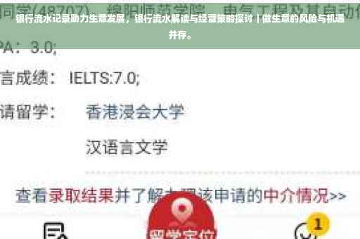 银行流水记录助力生意发展，银行流水解读与经营策略探讨｜做生意的风险与机遇并存。