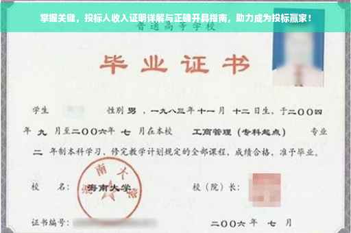 掌握关键，投标人收入证明详解与正确开具指南，助力成为投标赢家！