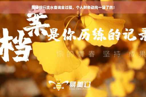 揭秘银行流水查询全过程，个人财务动向一目了然！