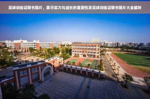 足球训练证明书图片，展示实力与成长的重要性及足球训练证明书图片大全解析