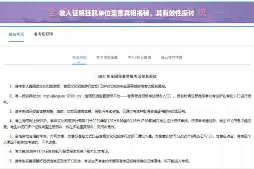 收入证明挂职单位盖章真相揭秘，其有效性探讨