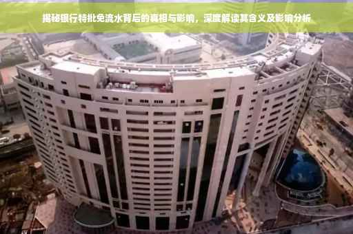 揭秘银行特批免流水背后的真相与影响，深度解读其含义及影响分析