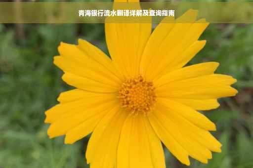 青海银行流水翻译详解及查询指南