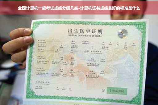 全国计算机一级考试成绩分哪几类-计算机证书成绩良好的标准是什么