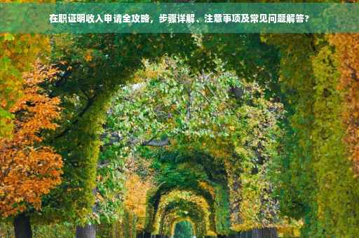 在职证明收入申请全攻略，步骤详解、注意事项及常见问题解答?
