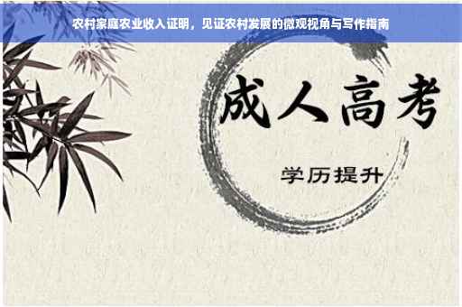 农村家庭农业收入证明，见证农村发展的微观视角与写作指南