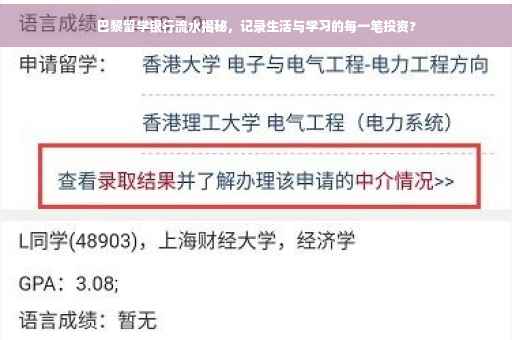 巴黎留学银行流水揭秘，记录生活与学习的每一笔投资?