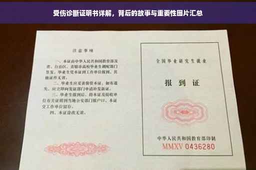 受伤诊断证明书详解，背后的故事与重要性图片汇总