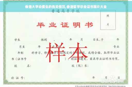 香港大学自费生的有关情况,香港留学毕业证书图片大全