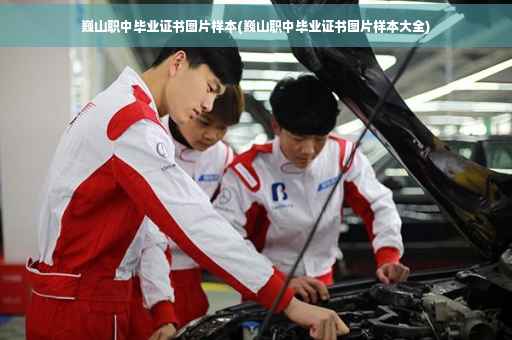 巍山职中毕业证书图片样本(巍山职中毕业证书图片样本大全)