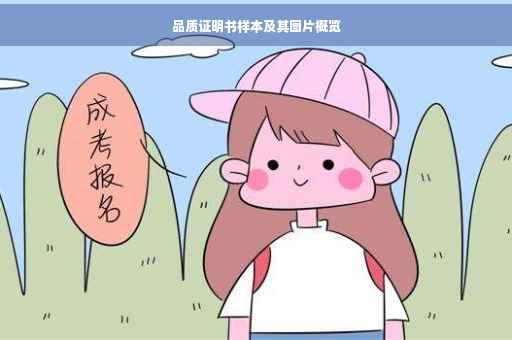 品质证明书样本及其图片概览