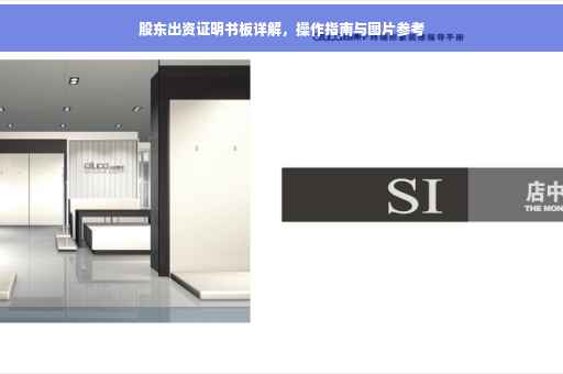 股东出资证明书板详解，操作指南与图片参考