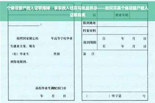 个体运输户收入证明揭秘，真实收入状况与挑战并存——如何开具个体运输户收入证明指南