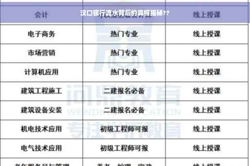 汉口银行流水背后的真相揭秘??