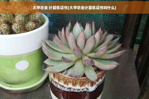 大学毕业 计算机证书(大学毕业计算机证书叫什么)