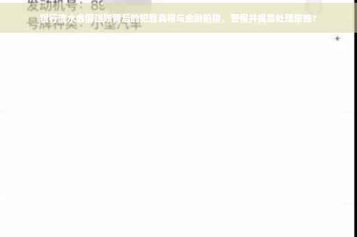 银行流水虚假进账背后的犯罪真相与金融陷阱，警惕并揭露处理策略?