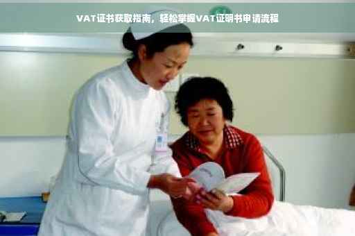 VAT证书获取指南，轻松掌握VAT证明书申请流程