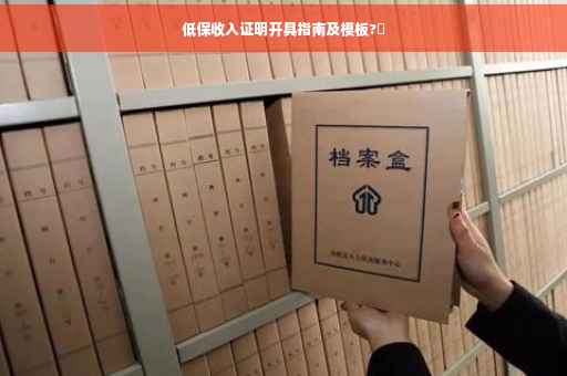 低保收入证明开具指南及模板?✨
