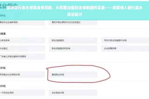 揭秘银行流水泄露法律风险，从犯罪边缘到法律制裁的深渊——泄露他人银行流水违法探讨