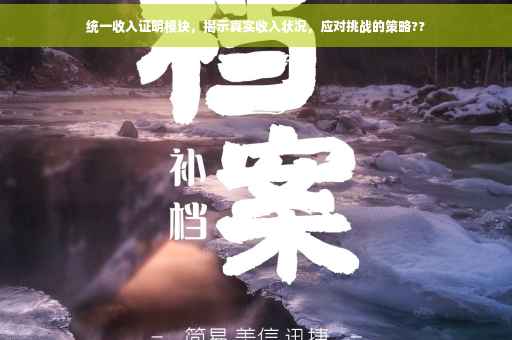 统一收入证明模块，揭示真实收入状况，应对挑战的策略??