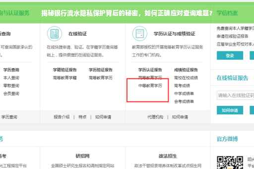 揭秘银行流水隐私保护背后的秘密，如何正确应对查询难题？