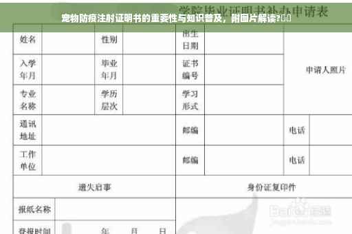 宠物防疫注射证明书的重要性与知识普及，附图片解读?⚡️