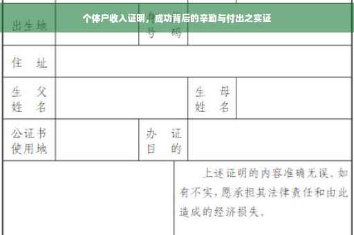 个体户收入证明，成功背后的辛勤与付出之实证