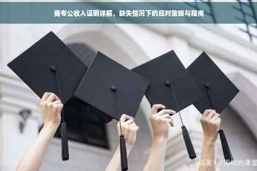 商专公收入证明详解，缺失情况下的应对策略与指南