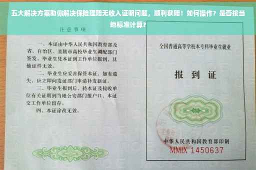 五大解决方案助你解决保险理赔无收入证明问题，顺利获赔！如何操作？是否按当地标准计算？