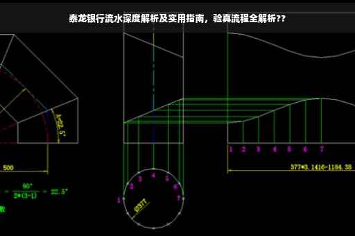 泰龙银行流水深度解析及实用指南，验真流程全解析??