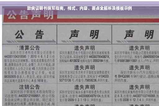 致病证明书撰写指南，格式、内容、要点全解析及模板示例