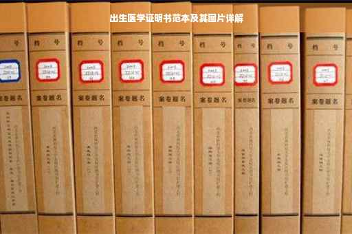 出生医学证明书范本及其图片详解