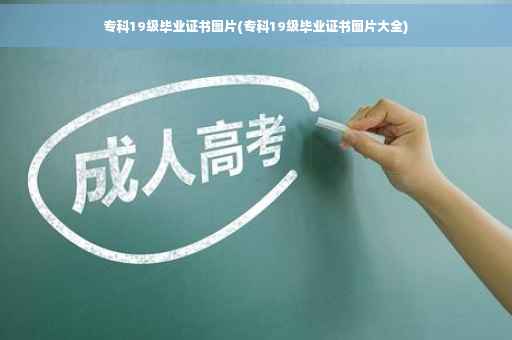 专科19级毕业证书图片(专科19级毕业证书图片大全)