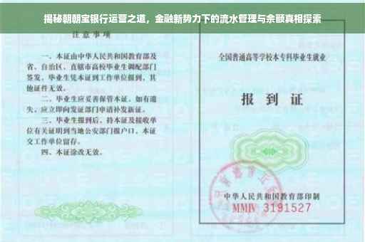 揭秘朝朝宝银行运营之道，金融新势力下的流水管理与余额真相探索