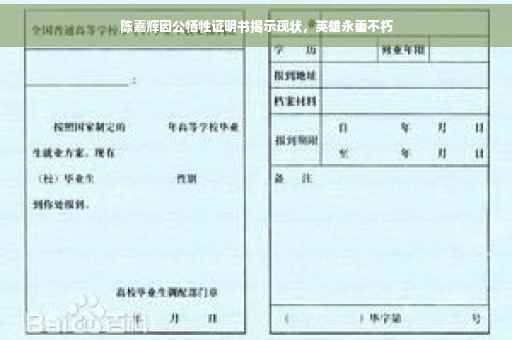陈嘉辉因公牺牲证明书揭示现状，英雄永垂不朽