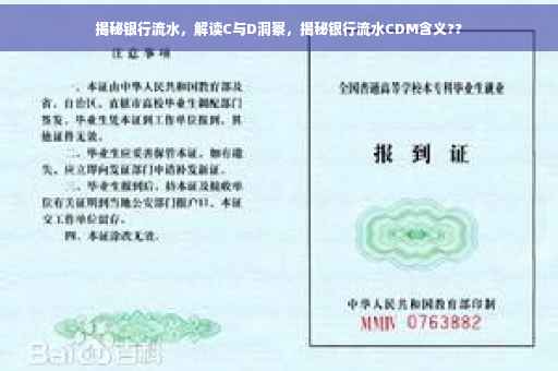 揭秘银行流水，解读C与D洞察，揭秘银行流水CDM含义??