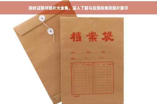 指纹证明书图片大全集，深入了解与应用指南及图片展示