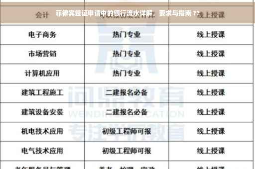 菲律宾签证申请中的银行流水详解，要求与指南 ??