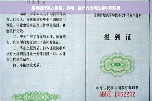 揭秘银行流水网核，真相、操作方法与注意事项解析
