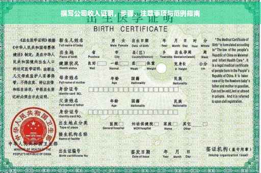 撰写公司收入证明，步骤、注意事项与范例指南
