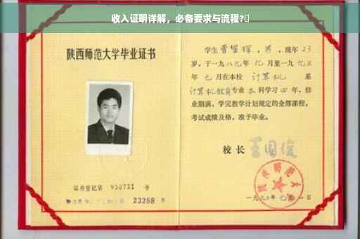 收入证明详解，必备要求与流程?✨