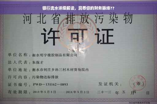 银行流水详细解读，洞悉你的财务脉络??